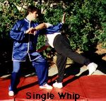 single whip