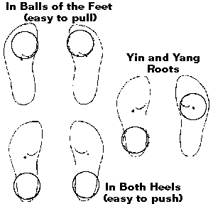 soles of the feet