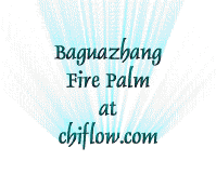 bagua earth palm