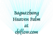 heaven palm