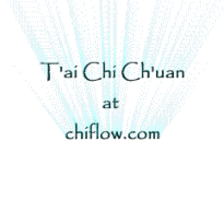 tai chi chuan